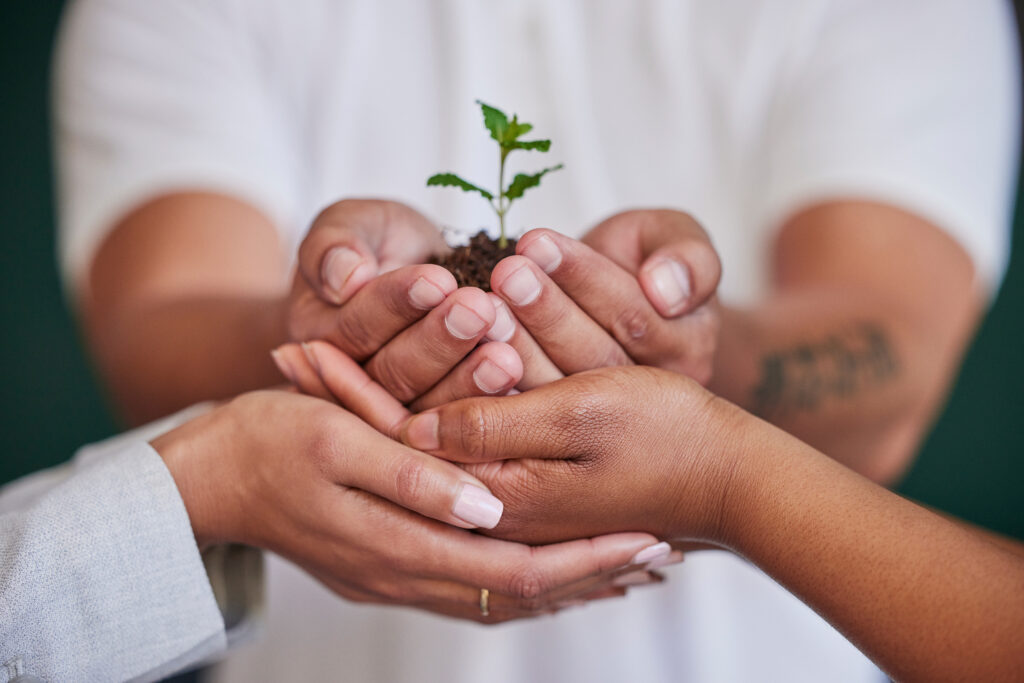 Hands gently holding a plant, symbolizing care and growth, featured on the relationship referral page at Hands On HealthCare Massage Therapy.